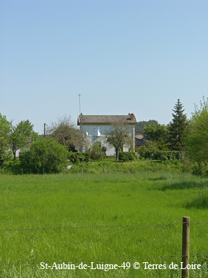 vdSH103911
