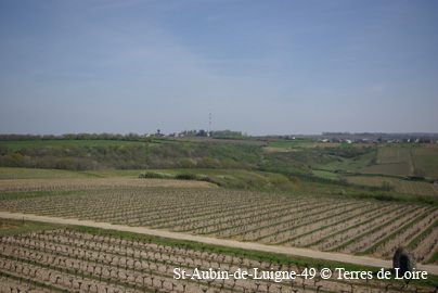 SG108491
