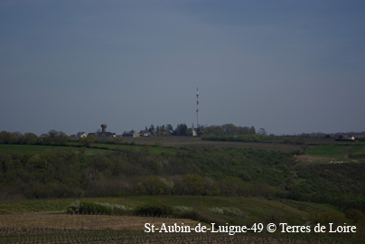 SG108492