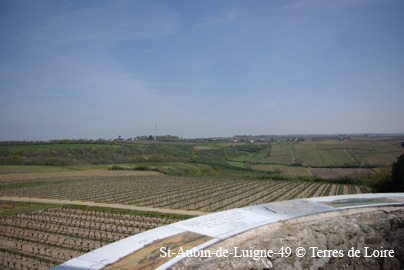 SG108514