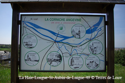 eSG108589