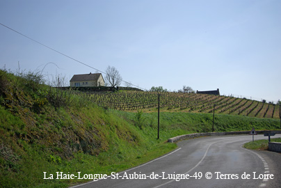 eSG108601
