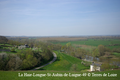 eSG108618