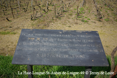 eSG108621
