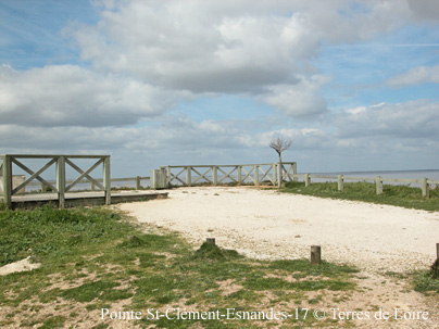 eDSCN0056m