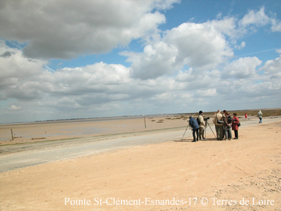 tDSCN0063m