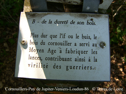 eSH100698 - copie