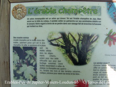 aSH100764 - copie