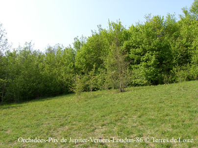 cSH100816