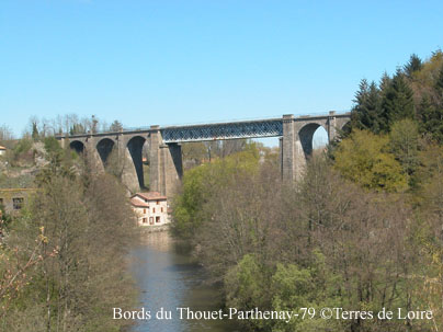 tDSCN0039r