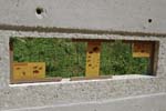 088-DSC_1141