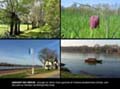 Livre-images du Pay_19_0001